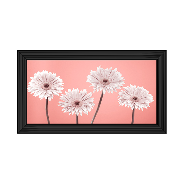 Four Gerberas Nude/White