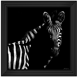 Wildlife Scratchboards IV