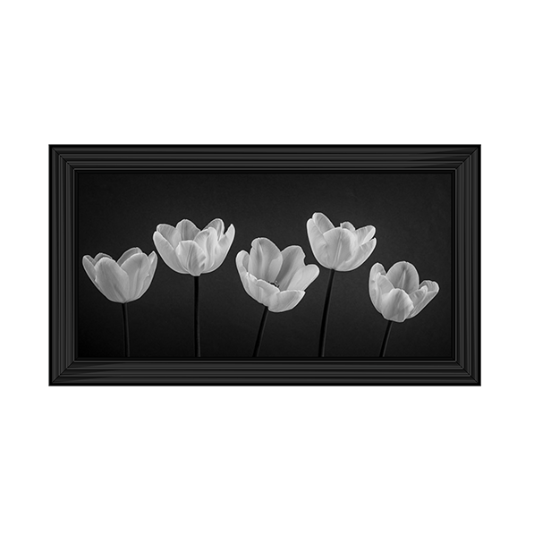 Five Tulips in a row
