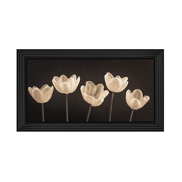 Five Tulips in a row