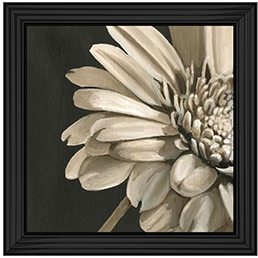 FL038 Classical Blooms IV