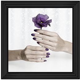 Purple Rose