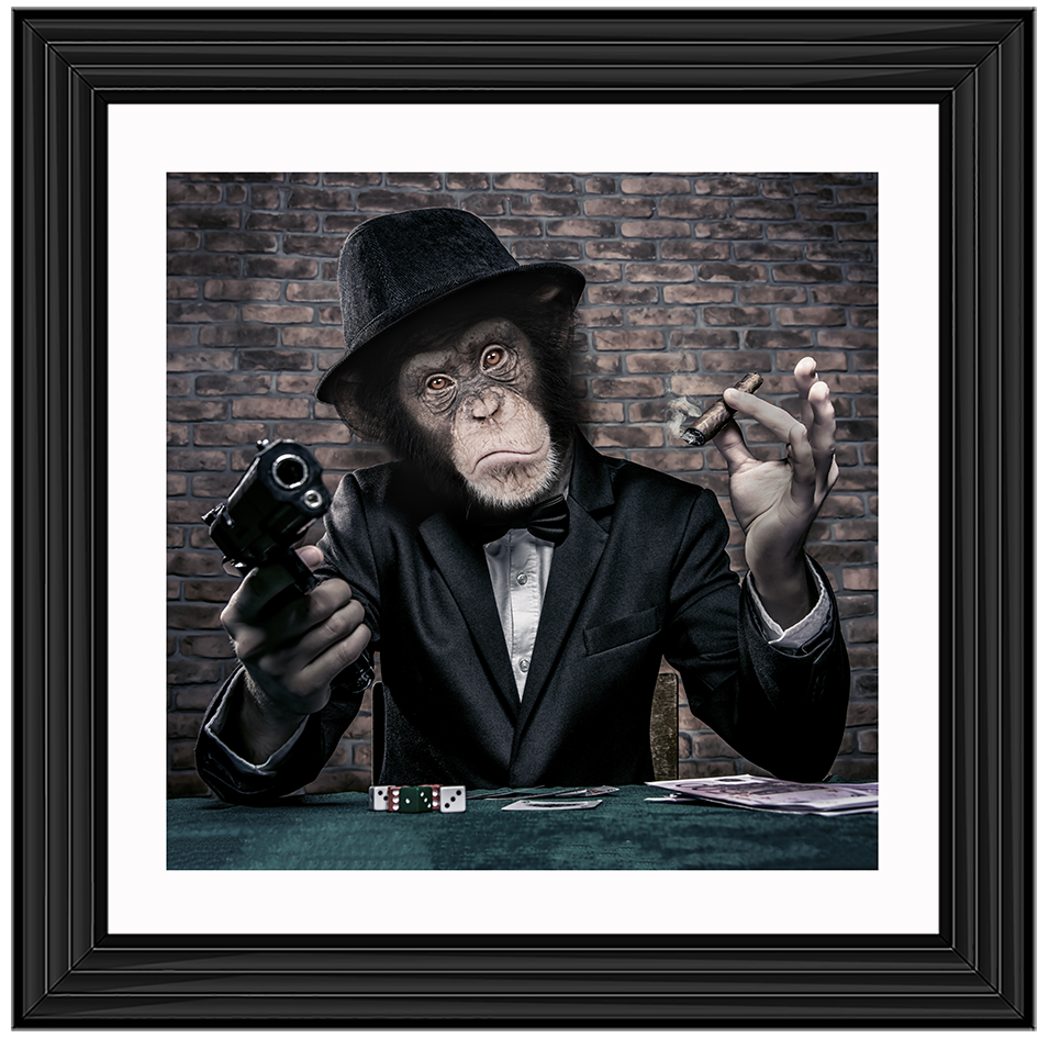 AN178  Gangster Chimp