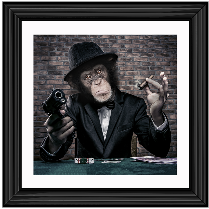 AN178  Gangster Chimp
