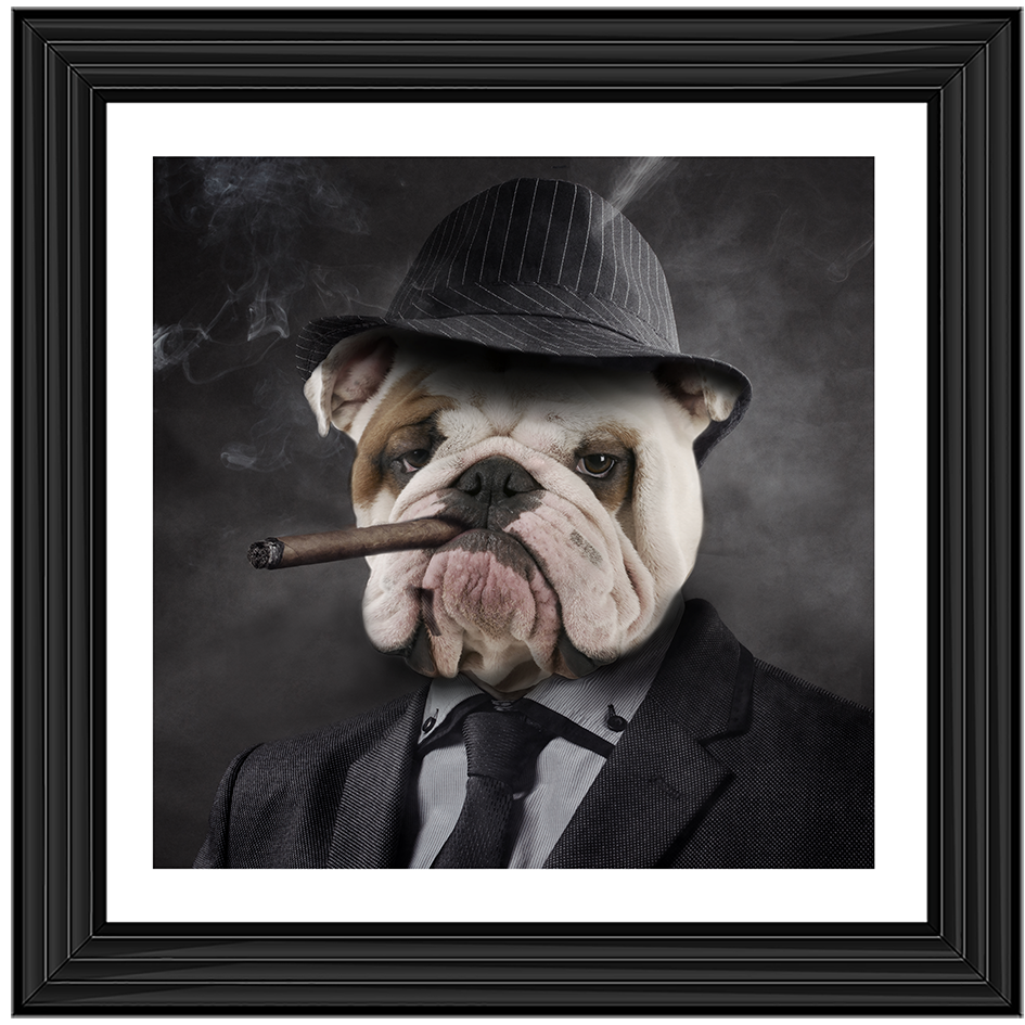 AN183 Gangster Bulldog (border)