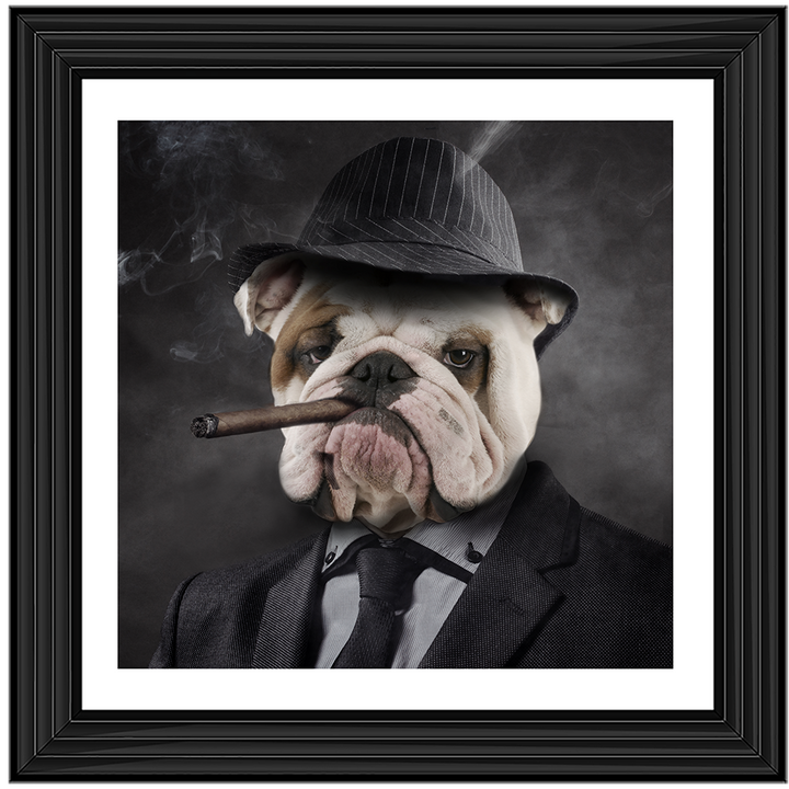 AN183 Gangster Bulldog (border)