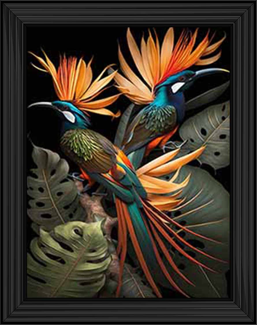 AN1053 Birds From Paradise ||