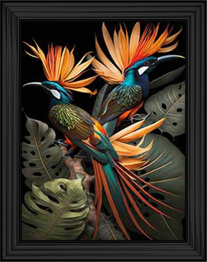 AN1053 Birds From Paradise ||