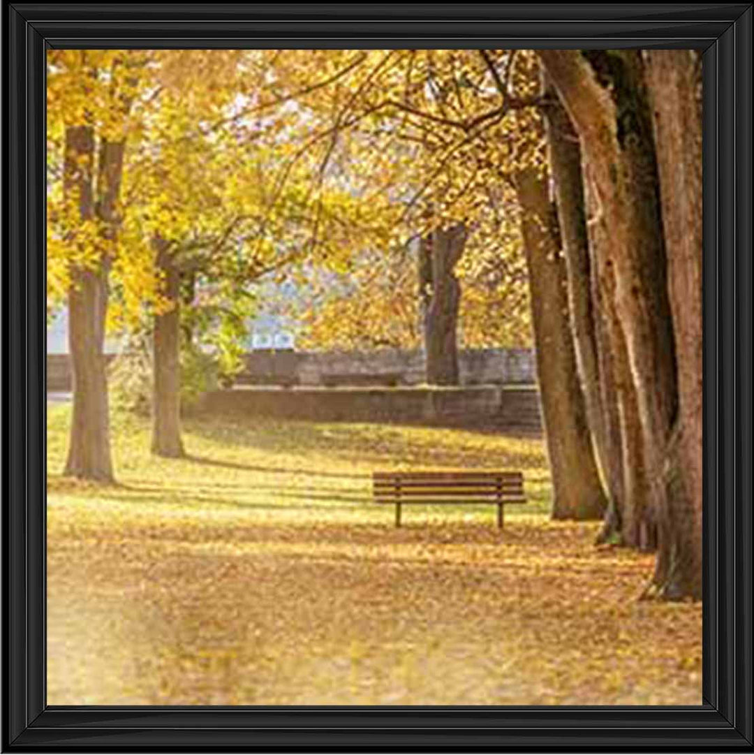 LS352 AUTUMN PARK YELLOW TREE