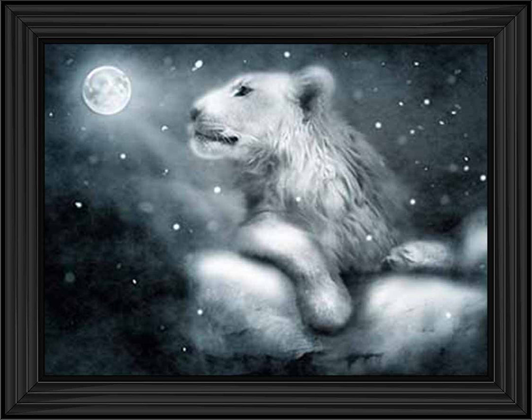AN761 Lion On Rock Night