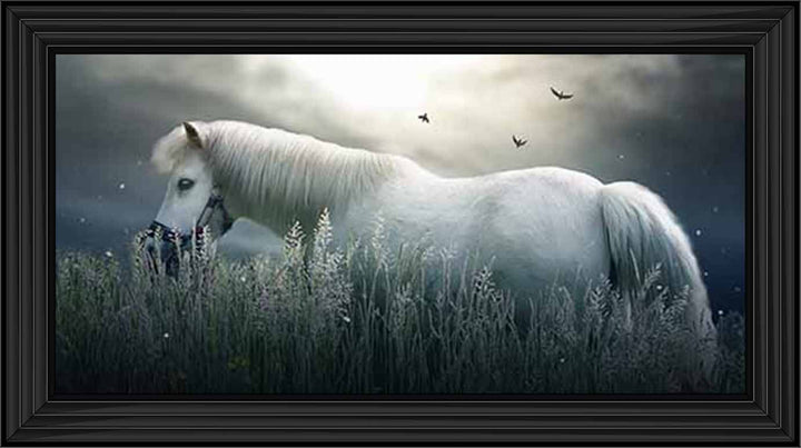 AN759 NIGHT HORSE