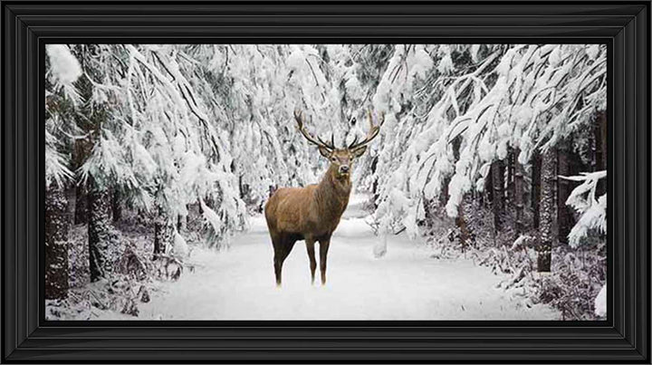 AN756 Stag in the Winter Snow