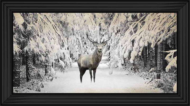 AN770 Dear on winter snow lll