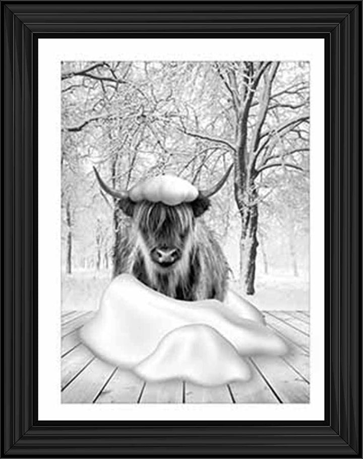 AN750-B&W Highland cow on Winter Snow l