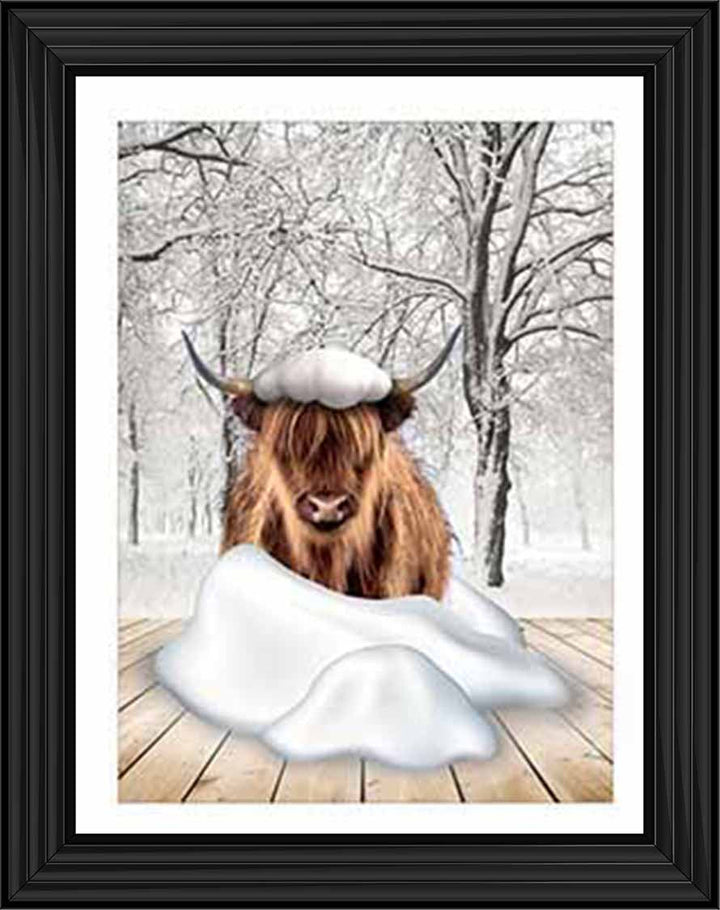 AN750-C Highland cow on Winter Snow ll