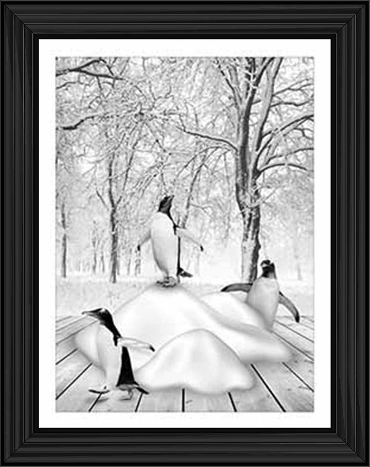 AN746-B&W Pandas on Winter Snow l