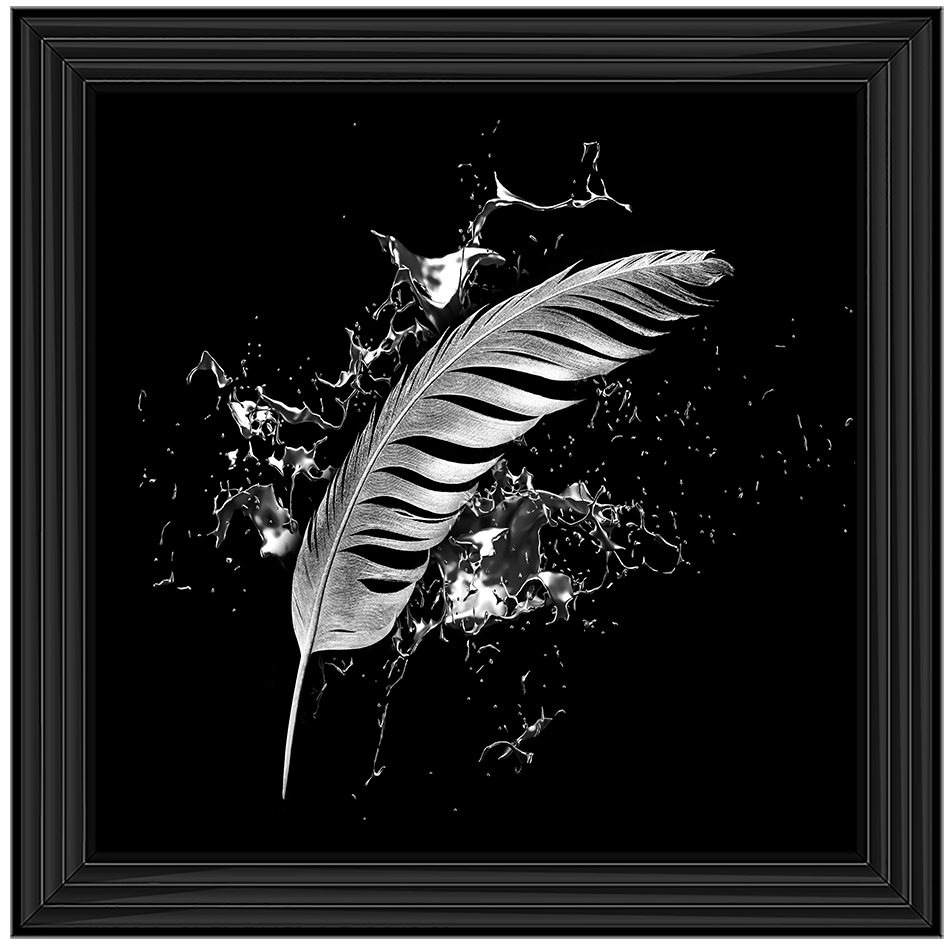 Silver Feather