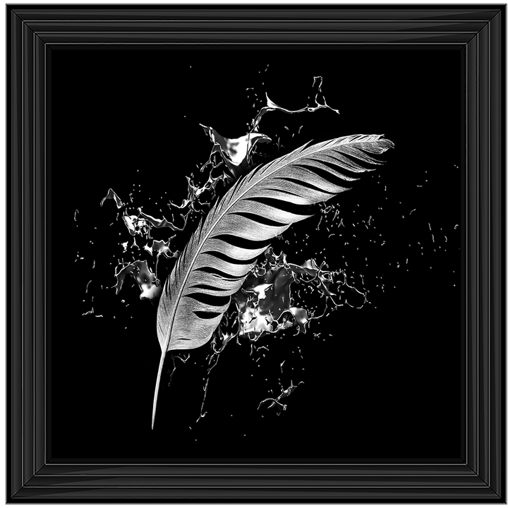 Silver Feather