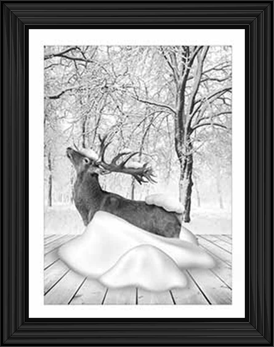 AN749-B&W Dear on Winter Snow l