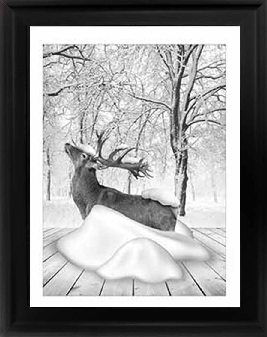 AN749-B&W Dear on Winter Snow l