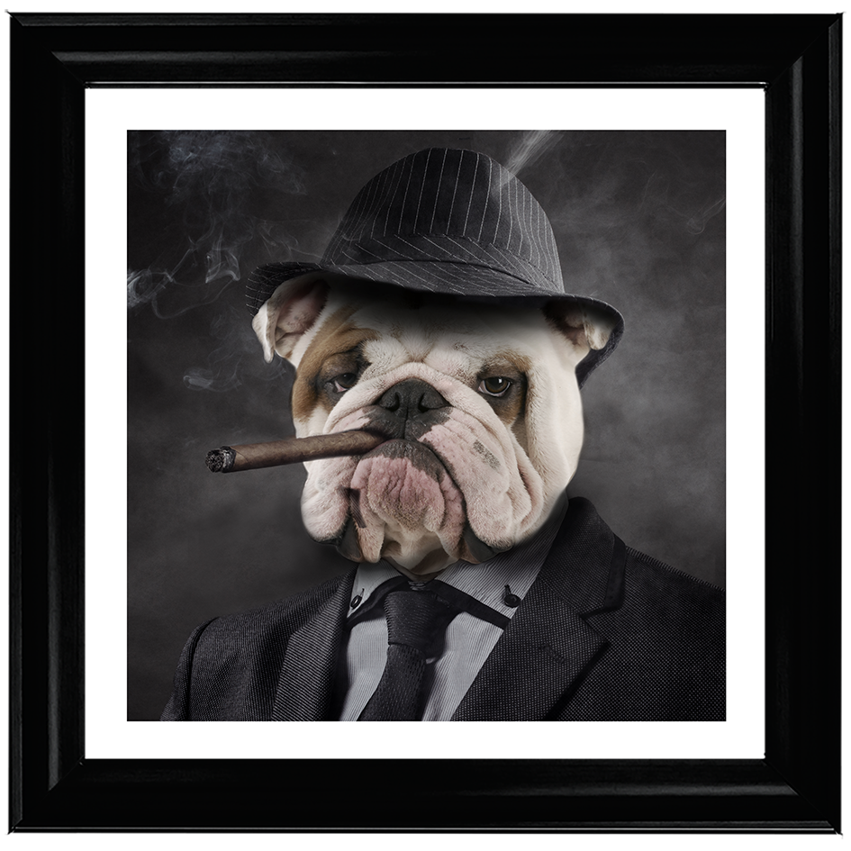 AN183 Gangster Bulldog (border)