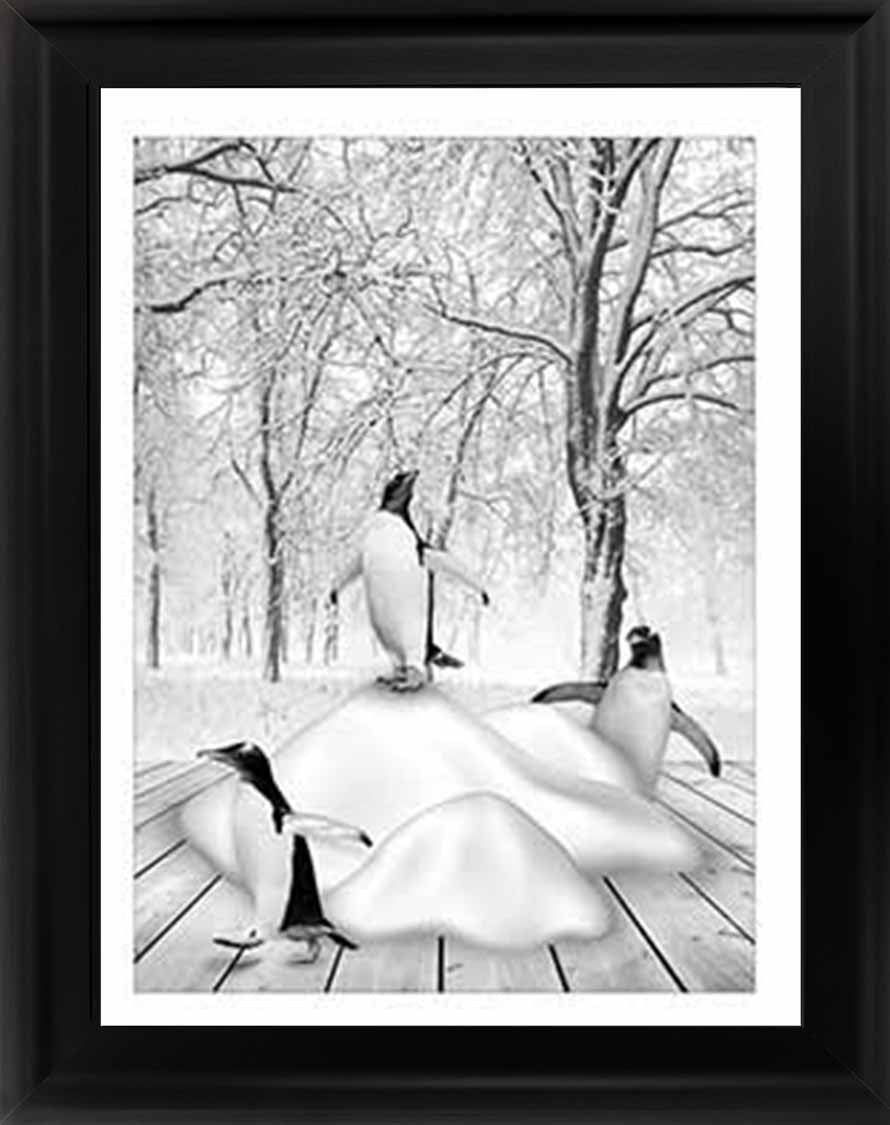AN746-B&W Pandas on Winter Snow l