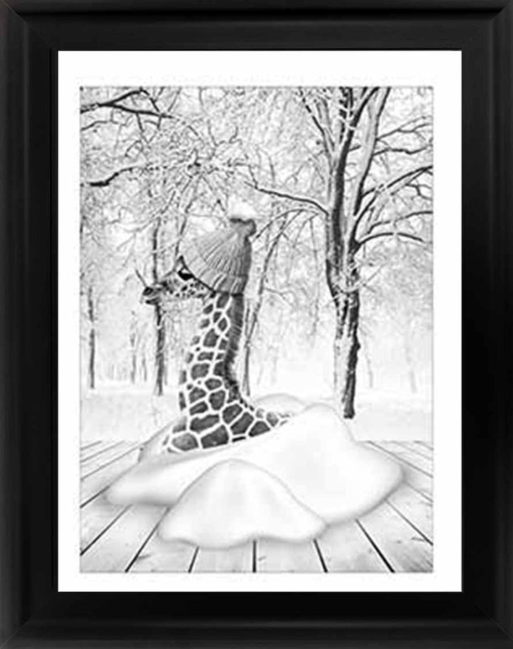 AN752-B&W Giraffe on Winter Snow l