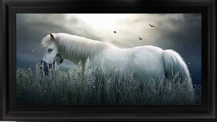 AN759 NIGHT HORSE