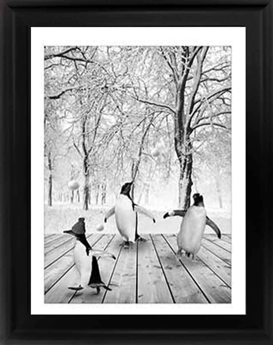 AN747-B&W Pandas Winter ll