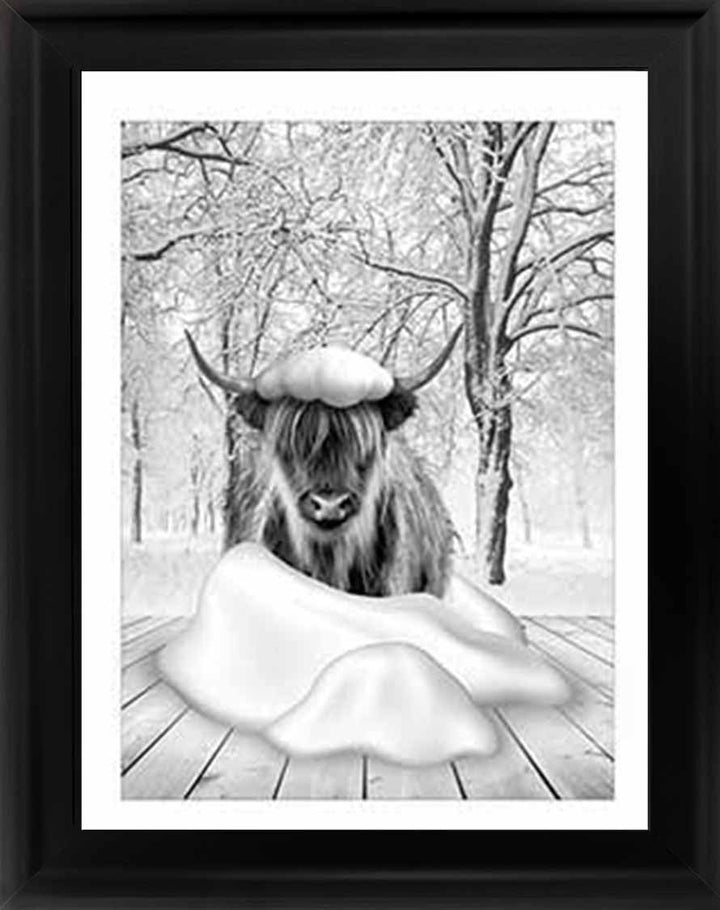 AN750-B&W Highland cow on Winter Snow l