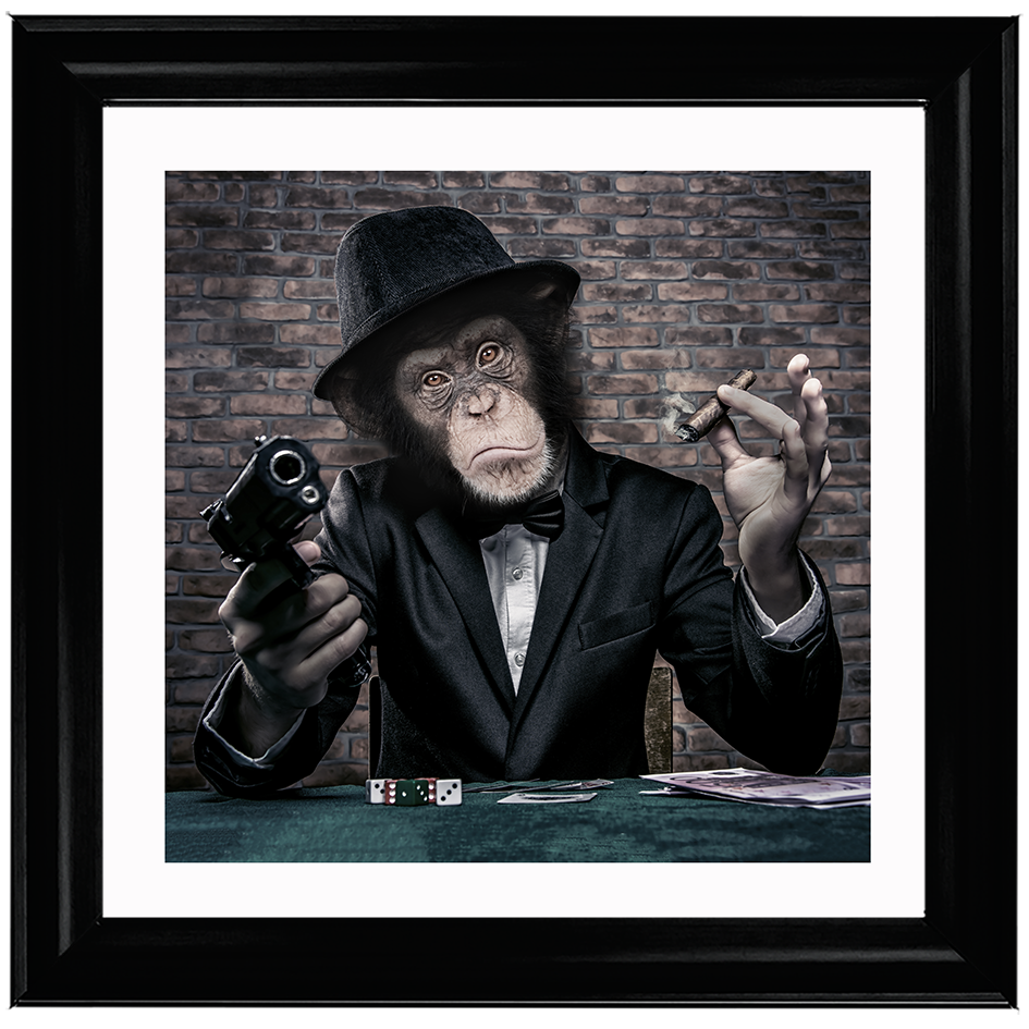 AN178  Gangster Chimp