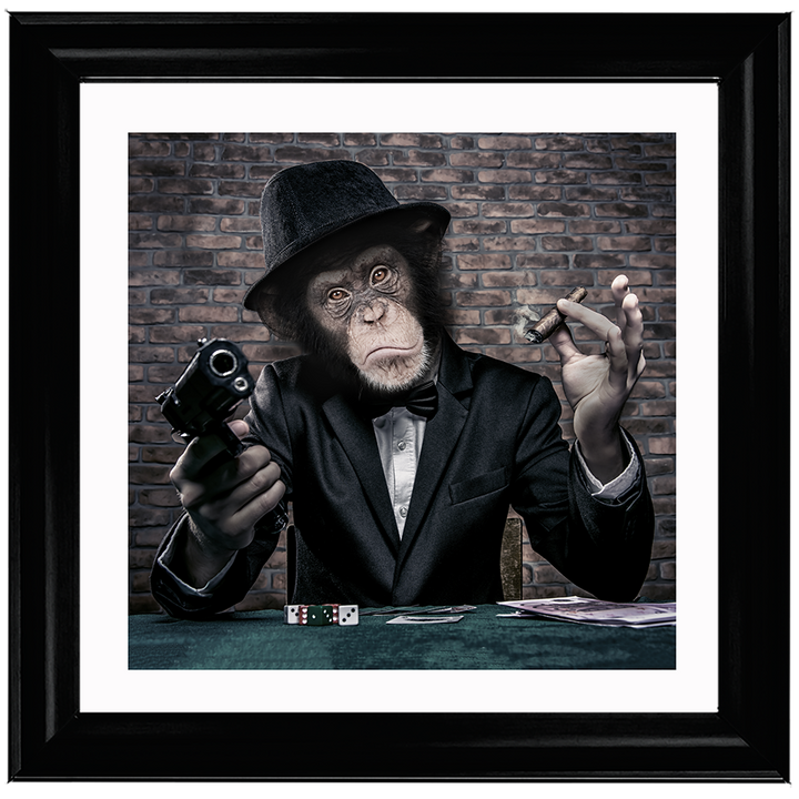 AN178  Gangster Chimp