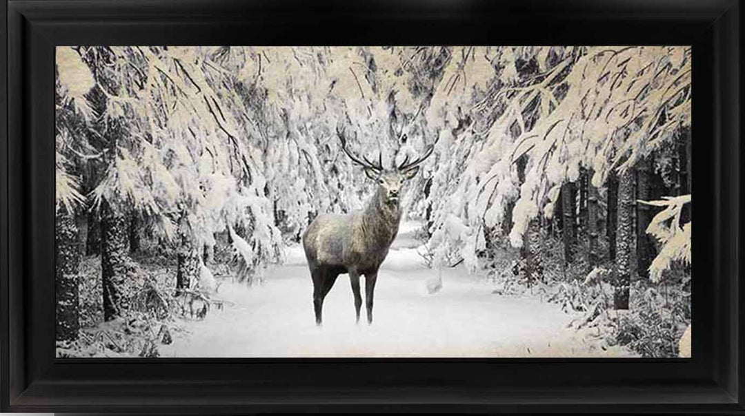 AN770 Dear on winter snow lll