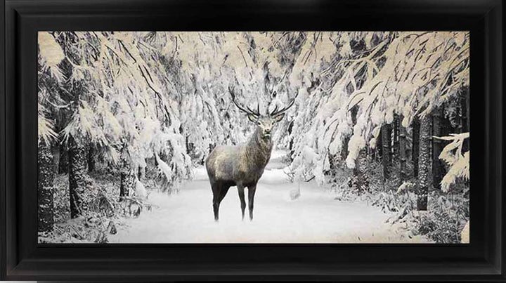 AN770 Dear on winter snow lll