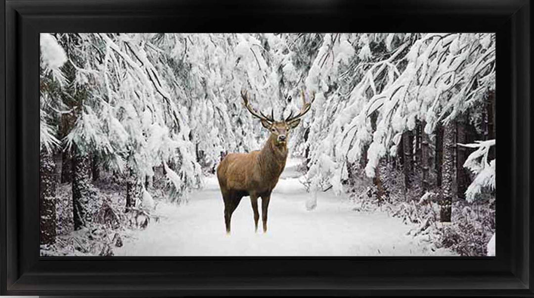 AN756 Stag in the Winter Snow