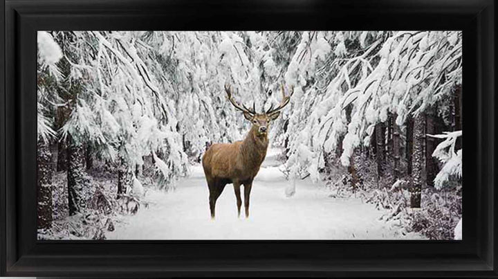 AN756 Stag in the Winter Snow