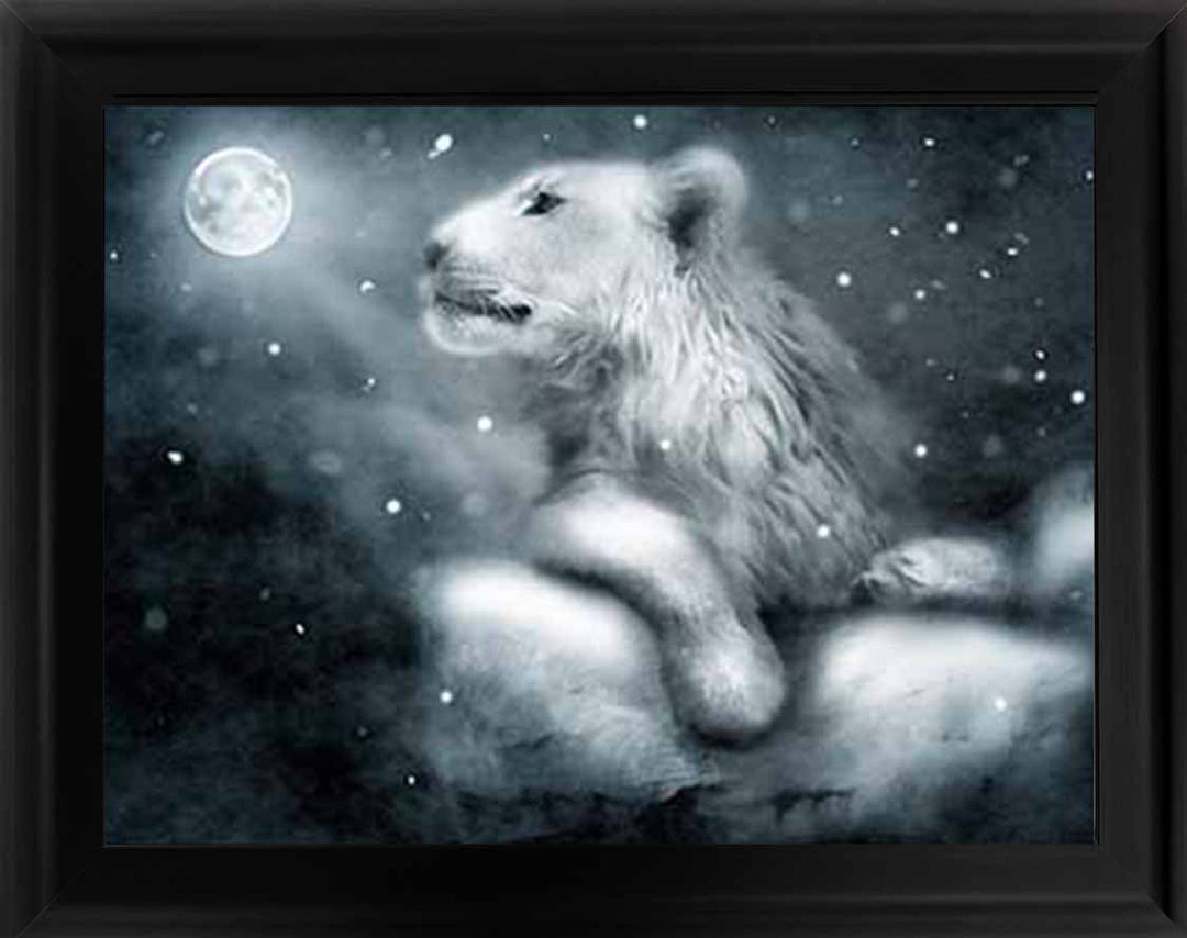 AN761 Lion On Rock Night