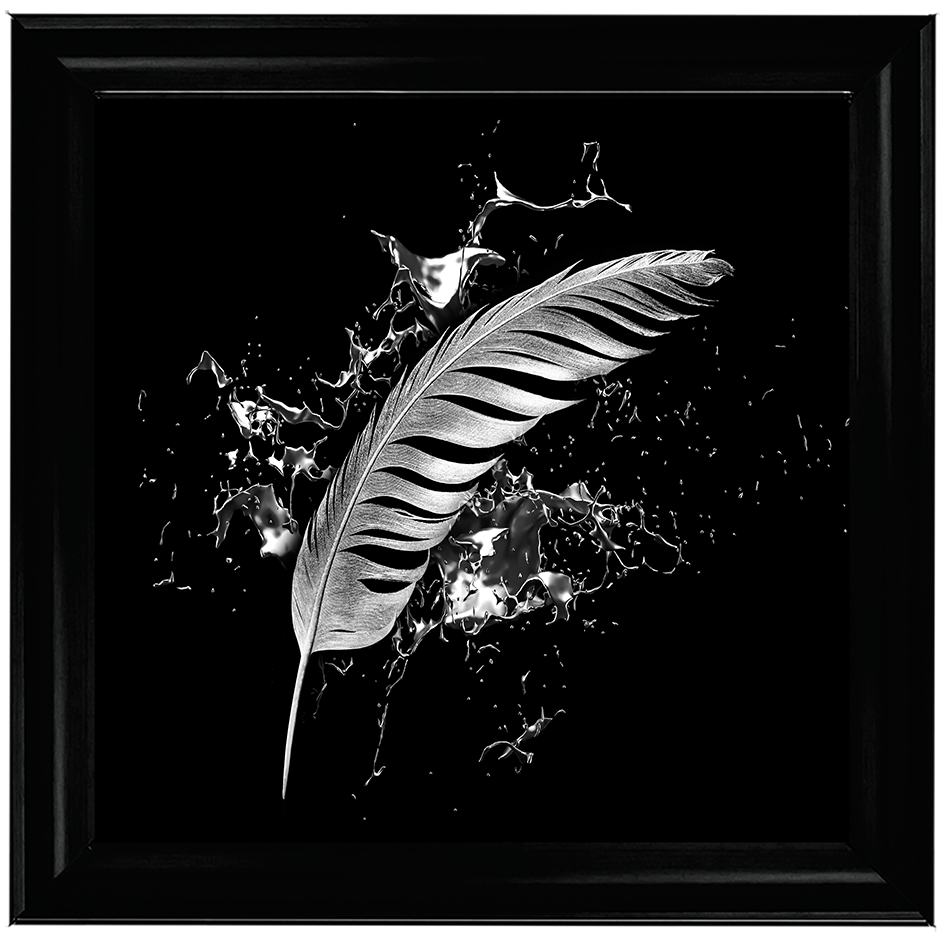 Silver Feather