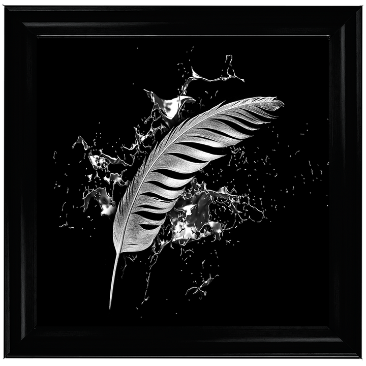 Silver Feather