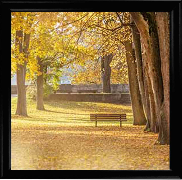 LS352 AUTUMN PARK YELLOW TREE