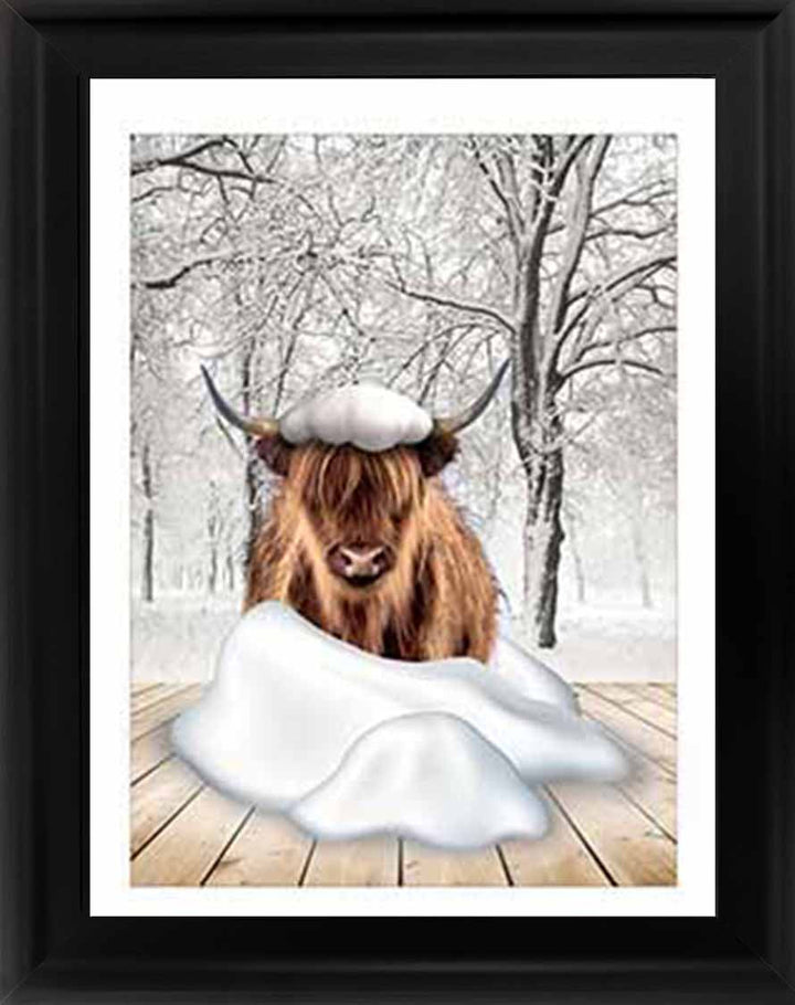 AN750-C Highland cow on Winter Snow ll