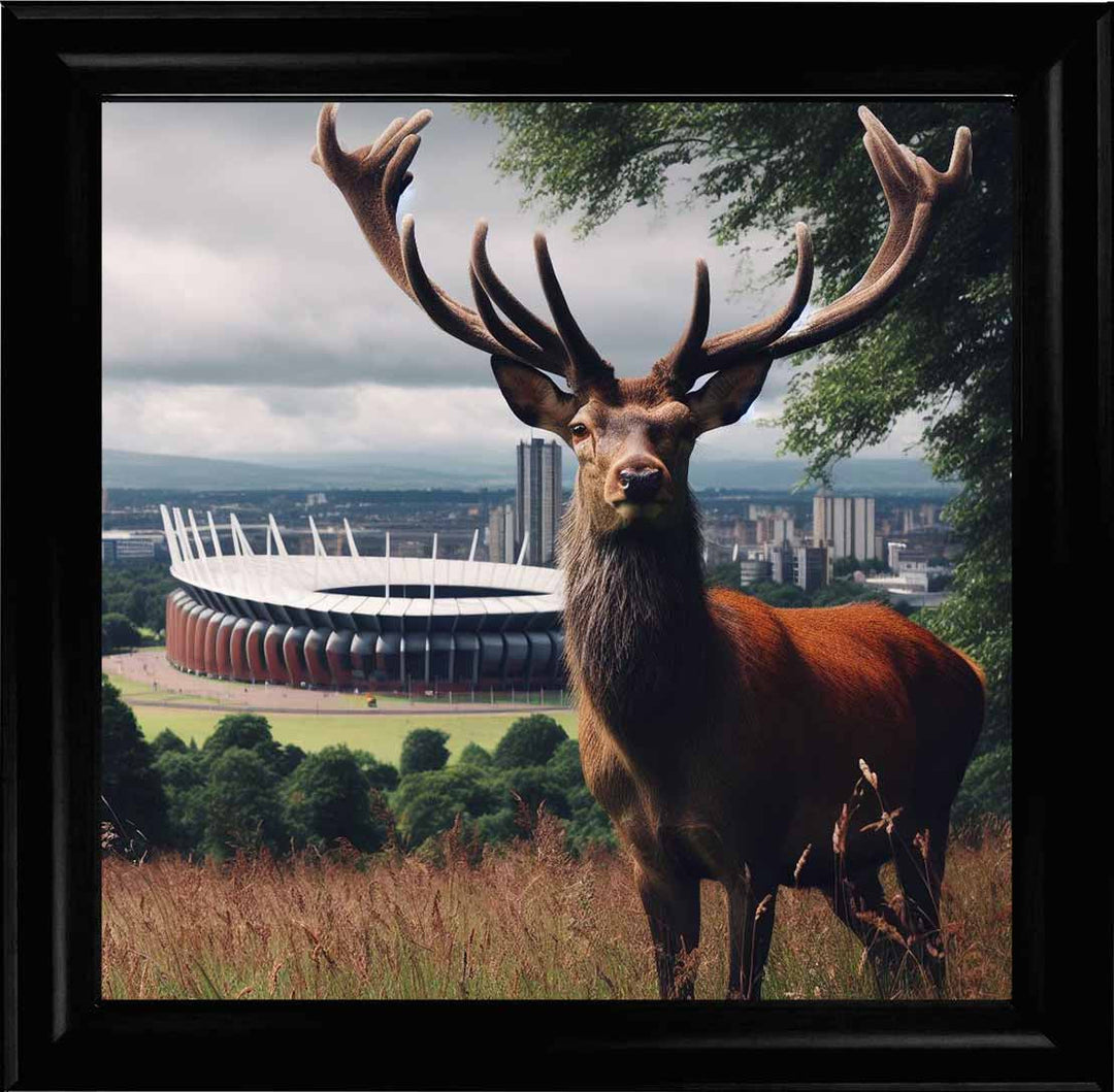 AN1108 STAG AT STADIUM