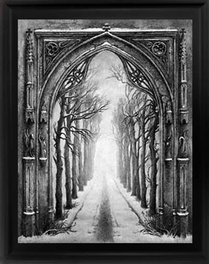 LS359 SNOWY PATHWAY