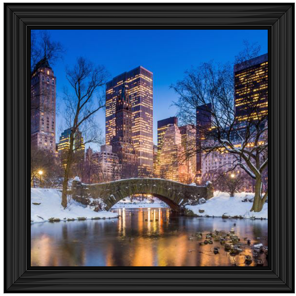 C568 Winter City