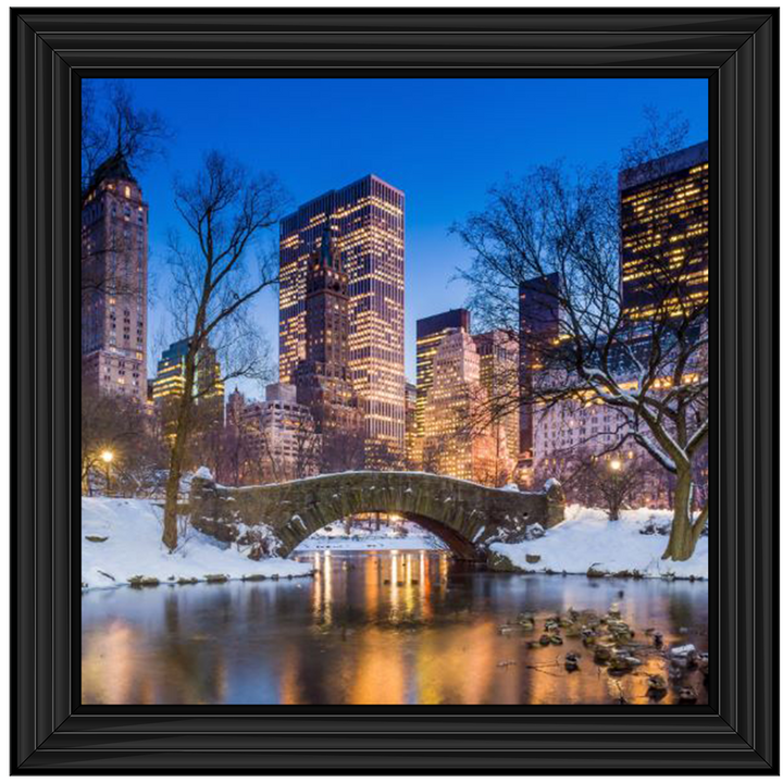 C568 Winter City