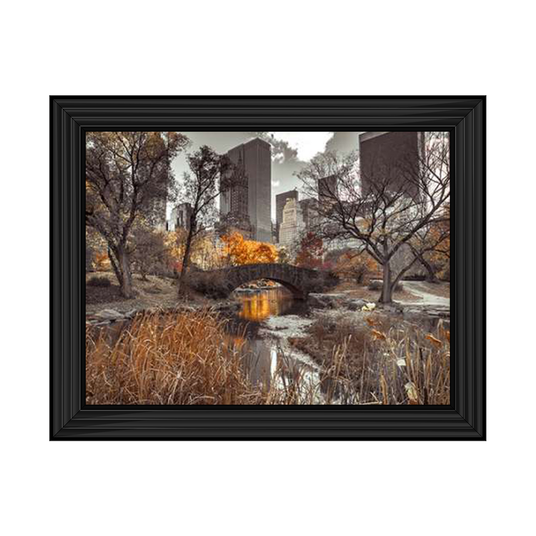 Gapstow Bridge in Autumn II, Central Park, New York city, Assaf Frank