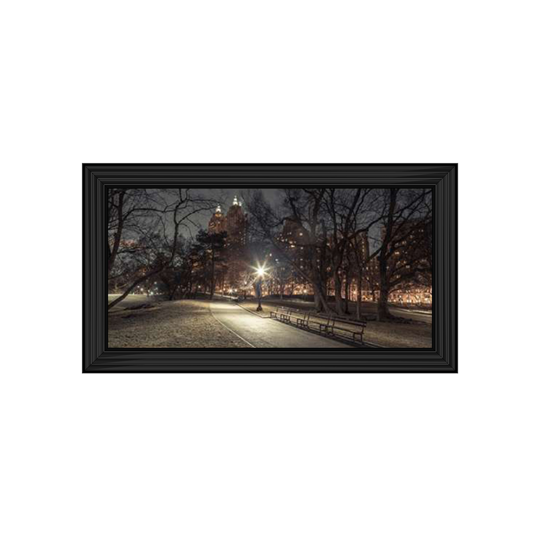 Path in cental park at night, winter, snow, New York. Assaf Frank