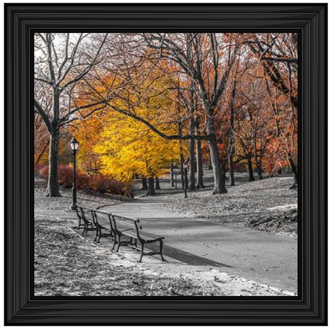 FTBR-1631 New York Yellow Trees in Central Park Assaf Frank