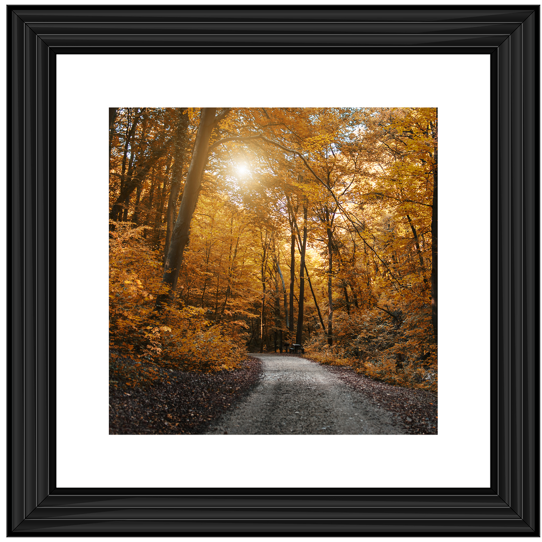 Walkway through yellow leafs