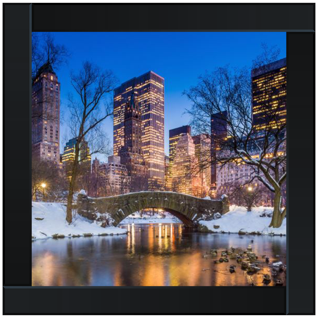 C568 Winter City